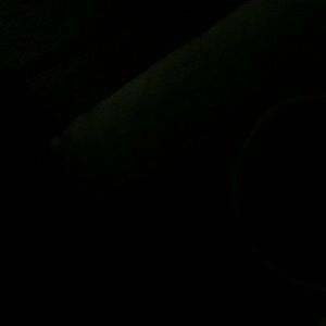 Meet your Posher, Kendyl